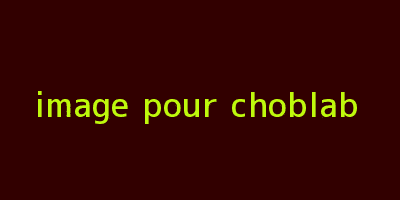 image-pour-choblab